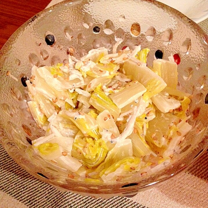 白菜としらすの胡麻マヨサラダ